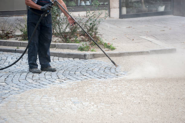 Best Driveway Pressure Washing  in Dillon, SC