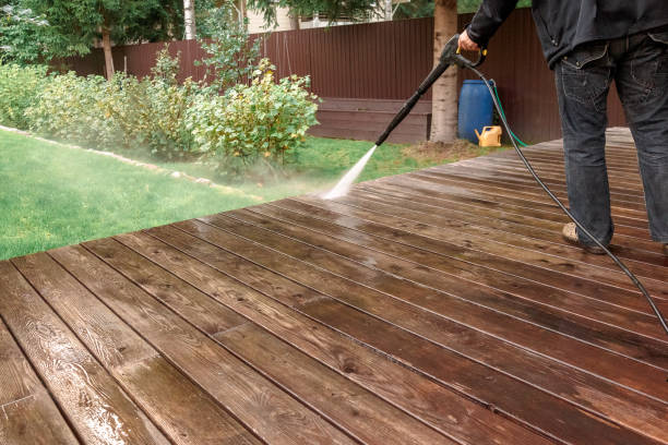Best Sidewalk and Walkway Cleaning  in Dillon, SC